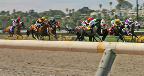 Del Mar Races with San Diego Party Bus Top Dog Limo Bus