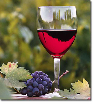 Temecula Wine Tours in Limo Bus - Top Dog Limo Buses and Limousines - Temecula Wine Tou Temecula Valley Wineriesr