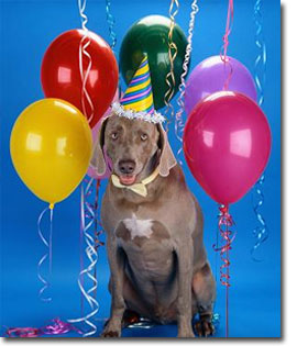 Party Planning in San Diego with Top Dog Limo Bus